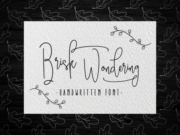 Brisk Wondering Font: Elegant Script for Editorial Design