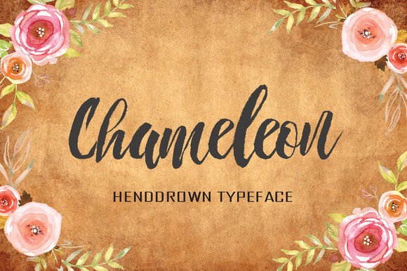 Chameleon Font Review for Digital Branding
