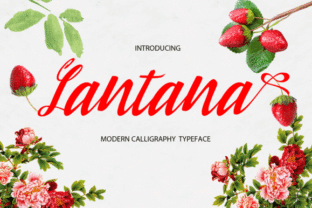 Lantana Font: Modern Calligraphy for Campaign Visuals