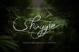 Shaggie Font: Elevating Small Business Branding