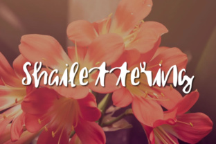 Shailettering Font: Authentic Branding for Small Business