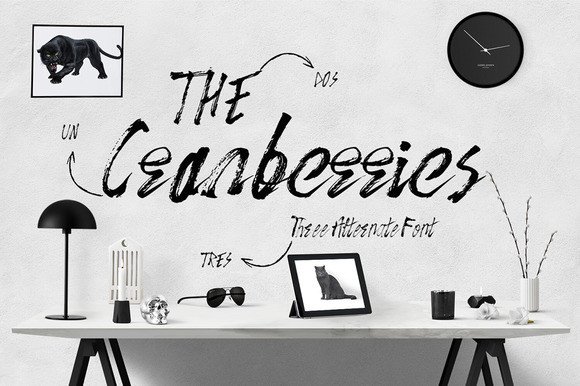 The Cranberries Font: A Designer’s Branding Test