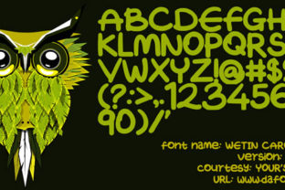 Wetin Caro Want Font: A Designer’s Branding Review