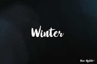 Winter Brush Font: Testing a Fluid Script for Brand Identity