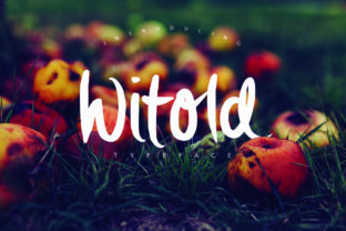 Witold Font: Elevating Small Business Branding