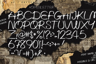 Written Lies Font: Editorial Design with Authentic Style